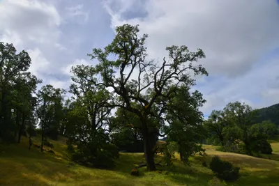 DSC_6832 (Large).JPG